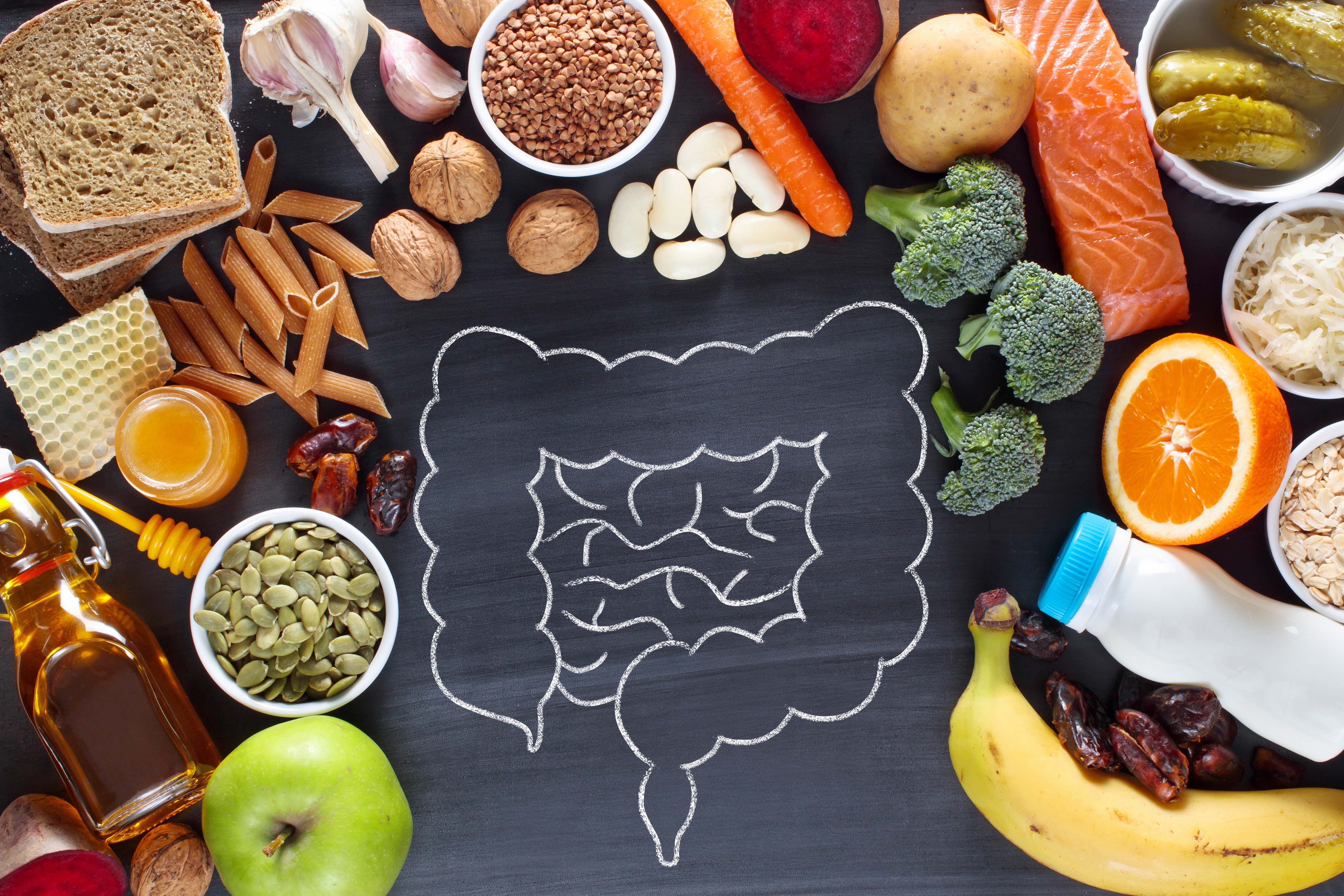 La relazione tra microbiota intestinale e l’apparato intestinale