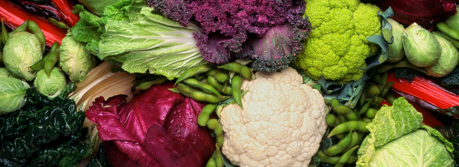 cruciferus