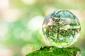 nature's ball